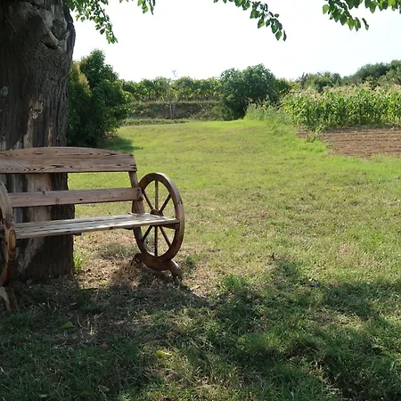 Mit Balkon By Interhome Apartmán