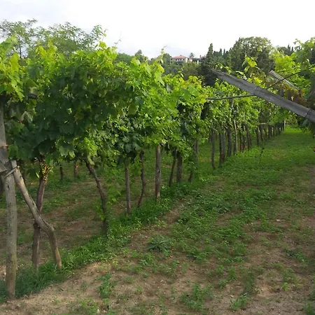 Apartmán Mit Balkon By Interhome