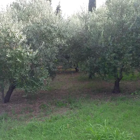 Mit Balkon By Interhome Apartmán