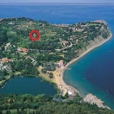 Apartmán Mit Balkon By Interhome Piran