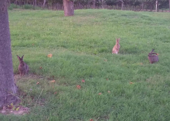 דירה Mit Balkon By Interhome