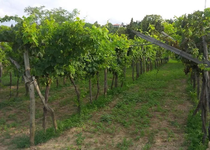 Apartment Mit Balkon By Interhome