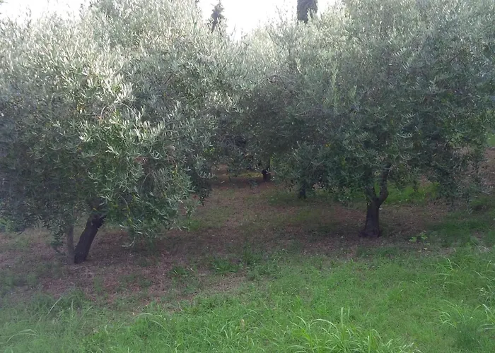 Mit Balkon By Interhome Apartment